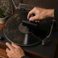 Cepillo Especializado para Discos de vinil